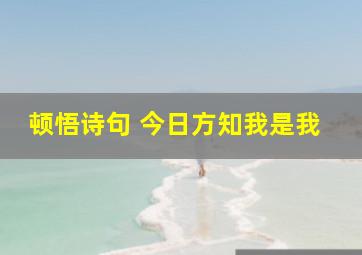 顿悟诗句 今日方知我是我